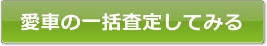 愛車の一括査定してみる